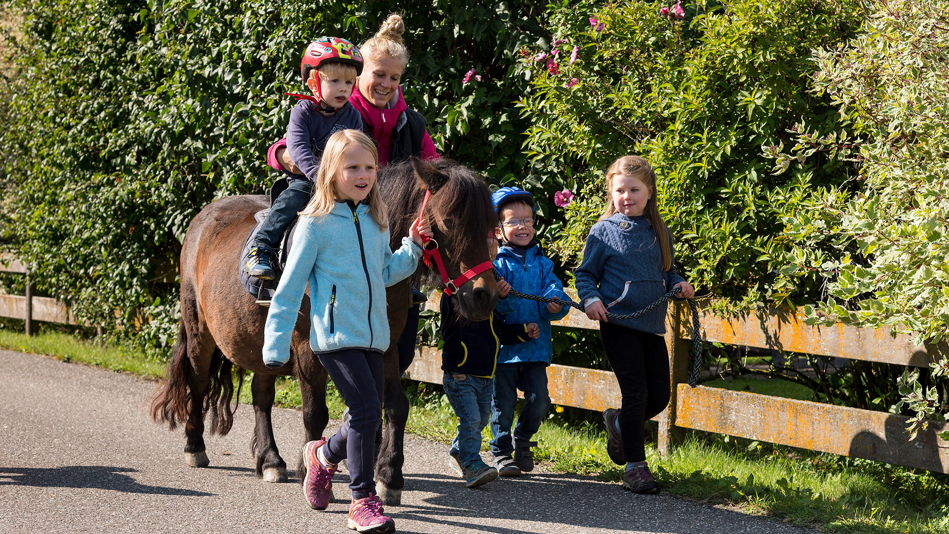 bauernhofurlaub reiturlaub pferde reiten eisacktaler dolomiten in brixen suedtirol