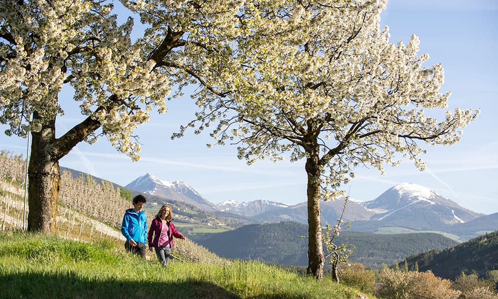 Kulturwanderung Klausen Säben Brixen Sunnseitnweg Villnöss Sonnnenhäng St.Andrä Klerant Blütenwanderung Eisacktal Dolomiten Südtirol (1)