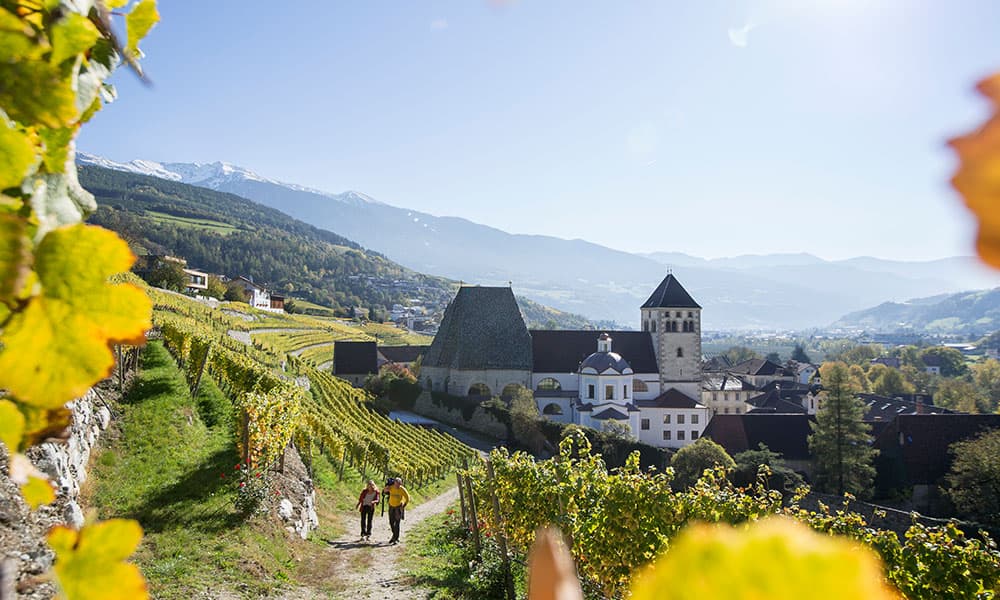 Kulturwanderung Klausen Säben Brixen Sunnseitnweg Villnöss Sonnnenhäng St.Andrä Klerant Blütenwanderung Eisacktal Dolomiten Südtirol (2)