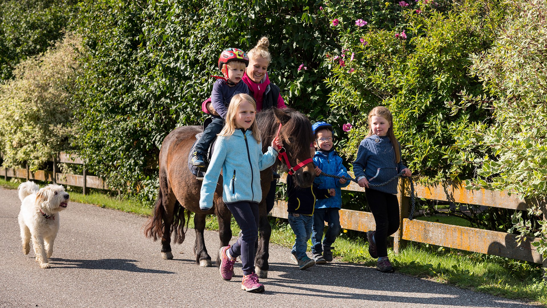 widmannhof animals horses riding reiten pferde brixen südtirol eisacktal (17)