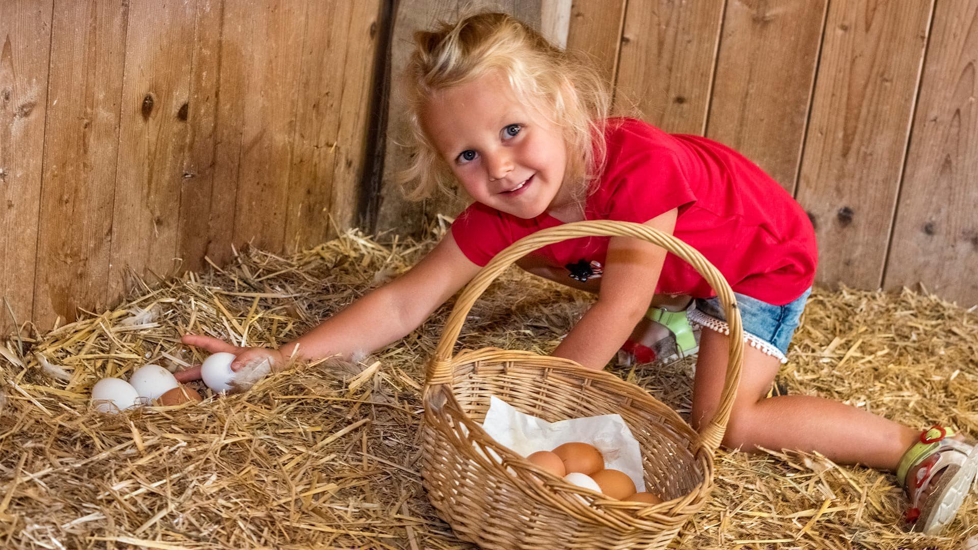 widmannhof kindertraeume bioprodukte galerie Bauernhofprodukte Brixen (1)