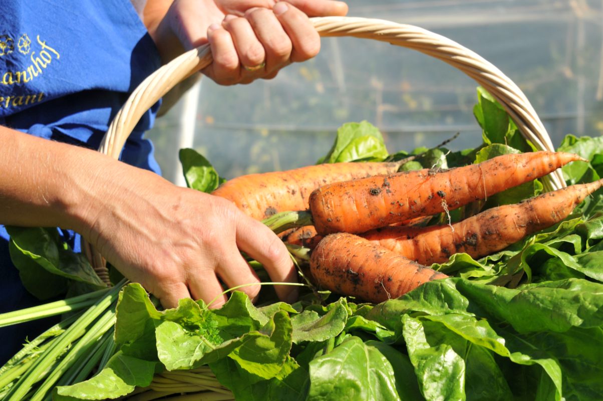 widmannhof kindertraeume bioprodukte galerie Bauernhofprodukte Brixen (8)